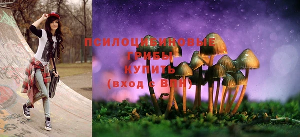 стафф Алексин